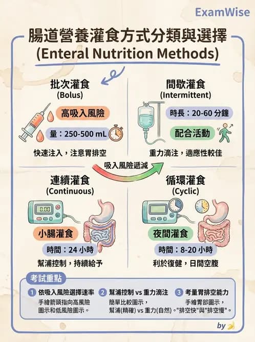 營養 - 營養支持 - AI 圖文解析預覽