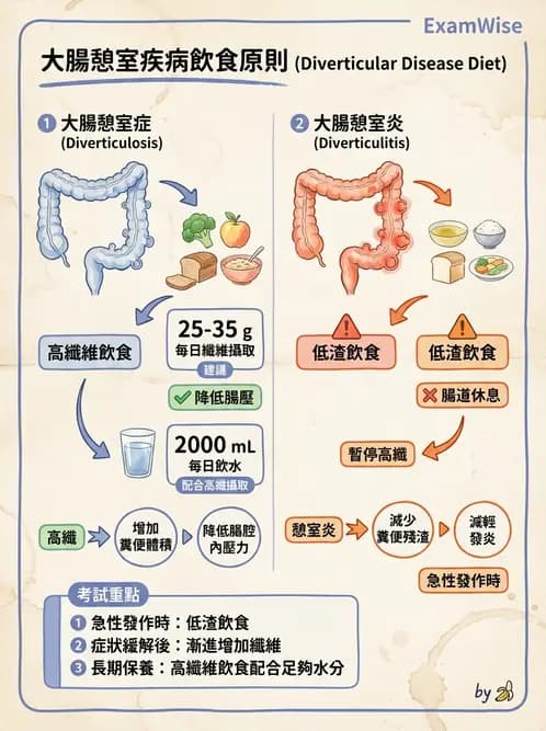 營養 - 腸胃道疾病 - AI 圖文解析預覽