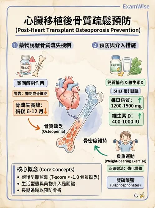營養 - 心臟衰竭、移植與血脂管理 - AI 圖文解析預覽