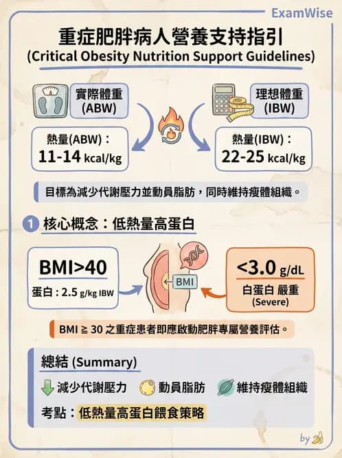 營養 - 重症一般營養照護 - AI 圖文解析預覽