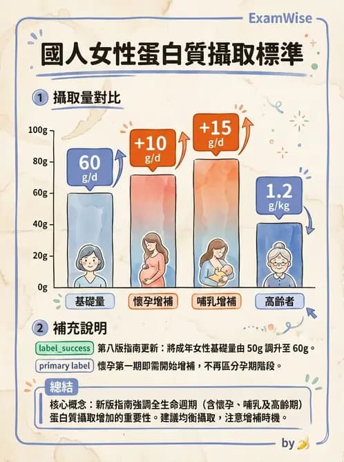 營養 - 機構供膳類型與特殊對象飲食設計 - AI 圖文解析預覽