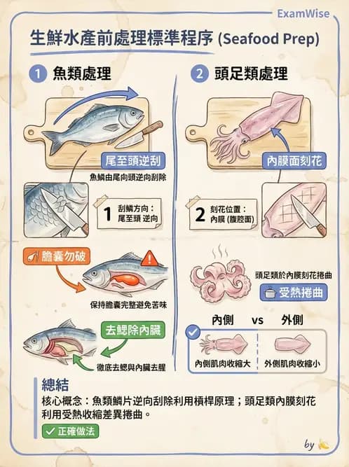 營養 - 動植物性食材製備原理 - AI 圖文解析預覽