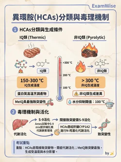 營養 - 化學性危害 - AI 圖文解析預覽