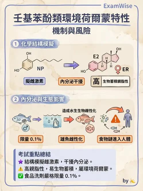 營養 - 化學性危害 - AI 圖文解析預覽