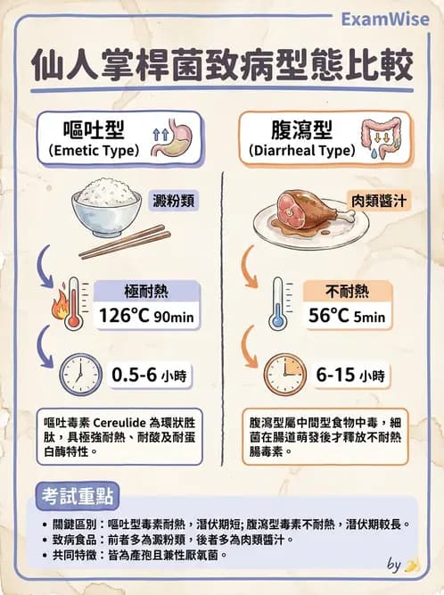 營養 - 食源性病原微生物 - AI 圖文解析預覽