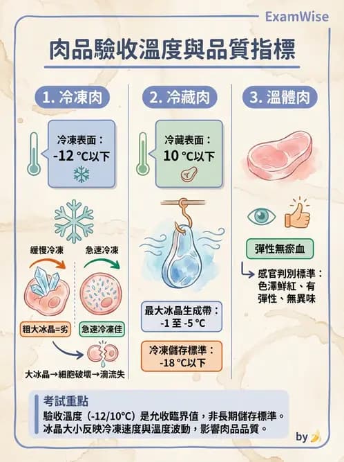 營養 - 餐飲場所設施與食材管理 - AI 圖文解析預覽