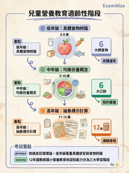 營養 - 營養教育與諮詢 - AI 圖文解析預覽