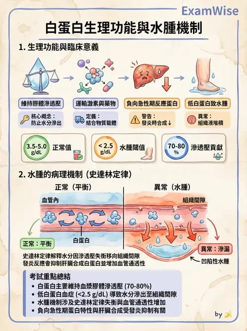 營養 - 生化指標與營養缺乏 - AI 圖文解析預覽