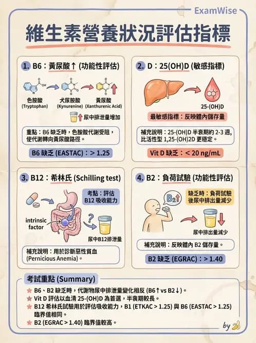 營養 - 生化指標與營養缺乏 - AI 圖文解析預覽