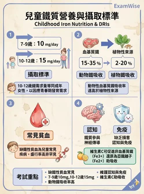 營養 - 鐵營養與貧血 - AI 圖文解析預覽