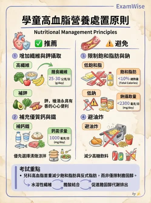 營養 - 兒童青少年與老年營養 - AI 圖文解析預覽