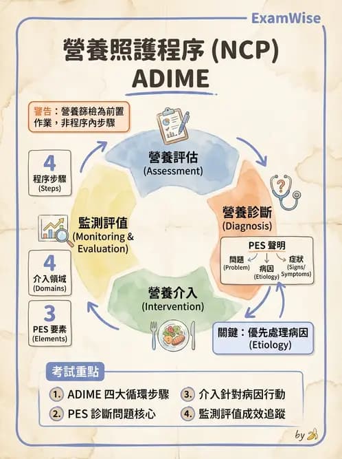 營養 - 營養評估與照護程序 - AI 圖文解析預覽