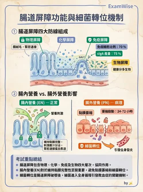 營養 - 營養支持 - AI 圖文解析預覽