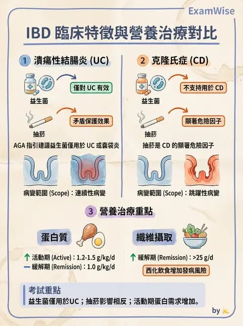 營養 - 腸胃道疾病 - AI 圖文解析預覽