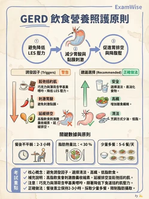 營養 - 腸胃道疾病 - AI 圖文解析預覽