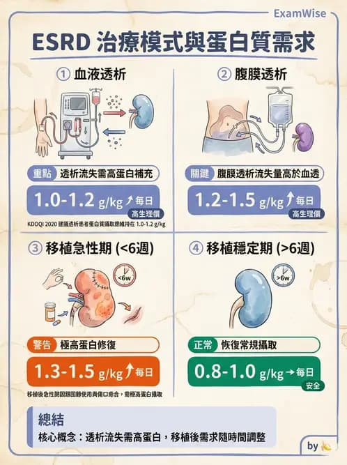 營養 - 透析治療飲食管理 - AI 圖文解析預覽