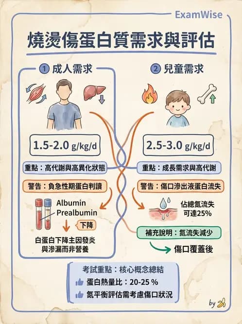 營養 - 燒燙傷與外傷重症營養 - AI 圖文解析預覽