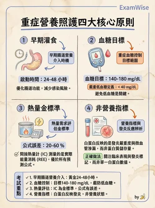 營養 - 重症一般營養照護 - AI 圖文解析預覽