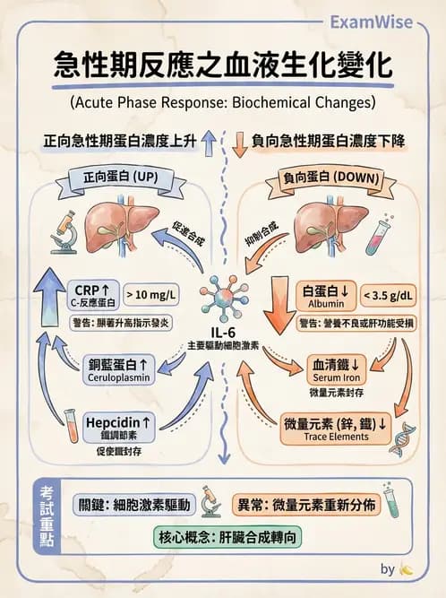 營養 - 重症一般營養照護 - AI 圖文解析預覽