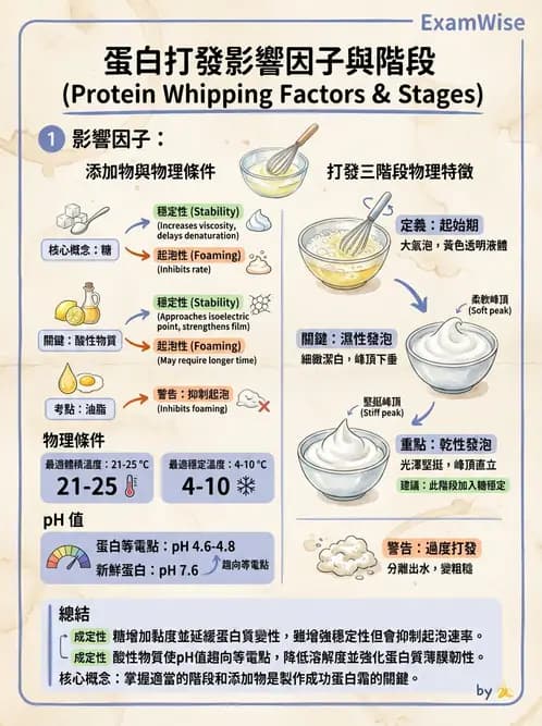營養 - 動植物性食材製備原理 - AI 圖文解析預覽