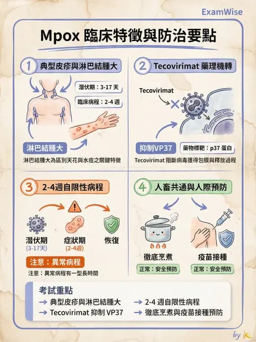 專師 - 法定傳染病與新興感染 - AI 圖文解析預覽