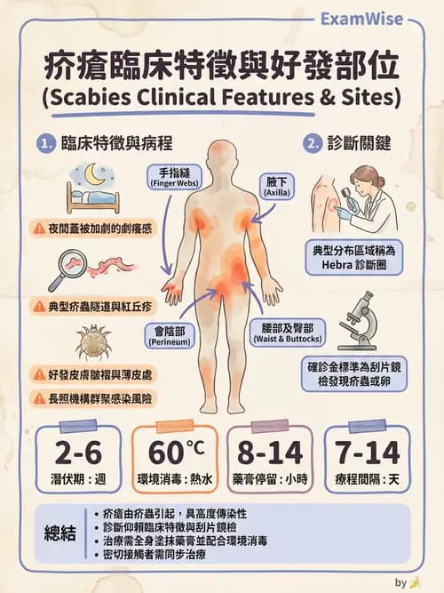 專師 - 皮膚軟組織感染 - AI 圖文解析預覽