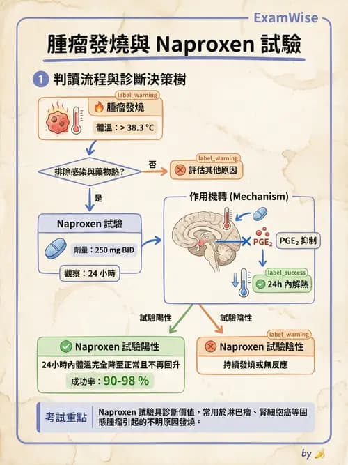 專師 - 疼痛控制與止痛藥物 - AI 圖文解析預覽