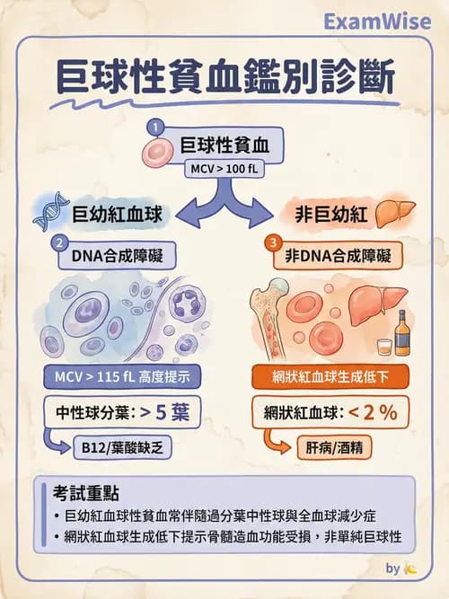 專師 - 血液疾病 - AI 圖文解析預覽