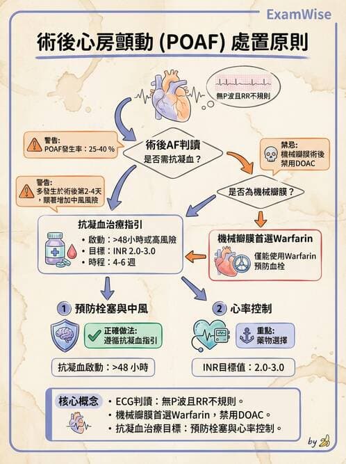 專師 - 心臟外科與介入 - AI 圖文解析預覽