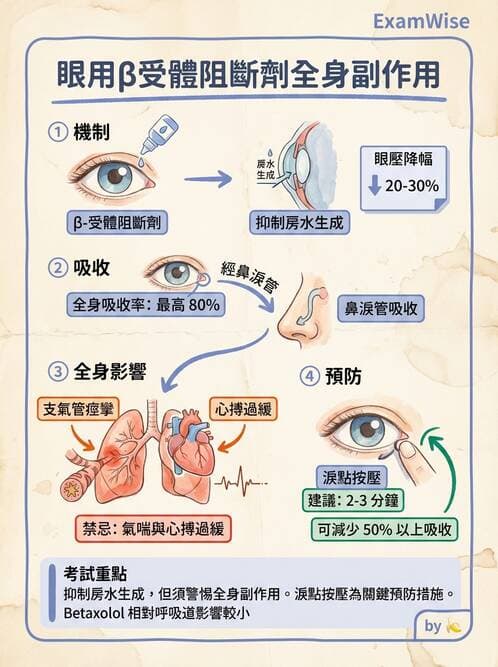 專師 - 眼耳鼻喉外科 - AI 圖文解析預覽