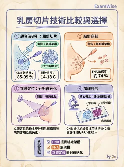 專師 - 乳房外科 - AI 圖文解析預覽