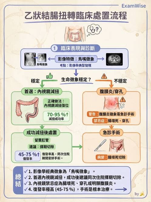 專師 - 腹部評估與急腹症 - AI 圖文解析預覽