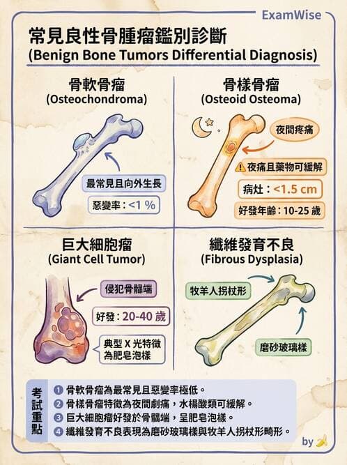 專師 - 骨折併發症與骨腫瘤 - AI 圖文解析預覽
