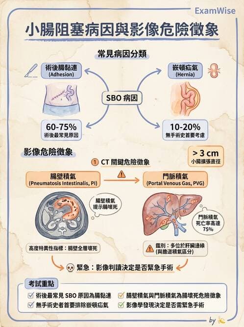 專師 - 闌尾炎與腸道外科 - AI 圖文解析預覽