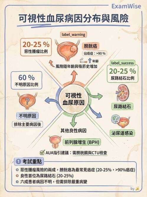 專師 - 泌尿腫瘤 - AI 圖文解析預覽