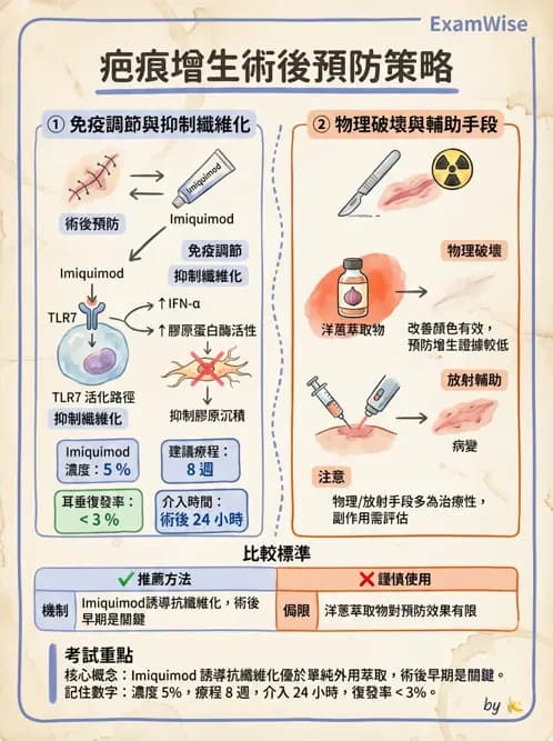 專師 - 皮膚移植與疤痕 - AI 圖文解析預覽