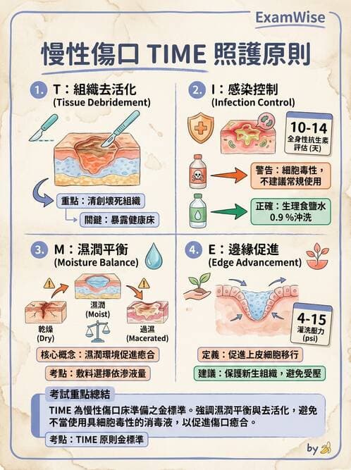 專師 - 傷口敷料與照護 - AI 圖文解析預覽