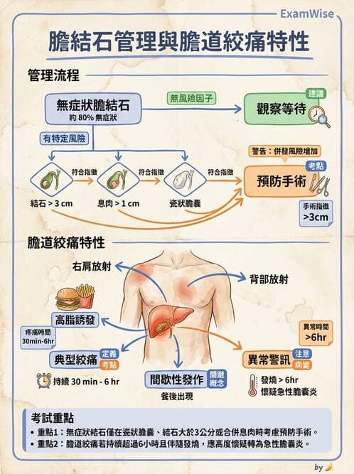 專師 - 膽道與胰臟 - AI 圖文解析預覽