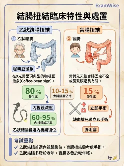 專師 - 腹部評估與急腹症 - AI 圖文解析預覽