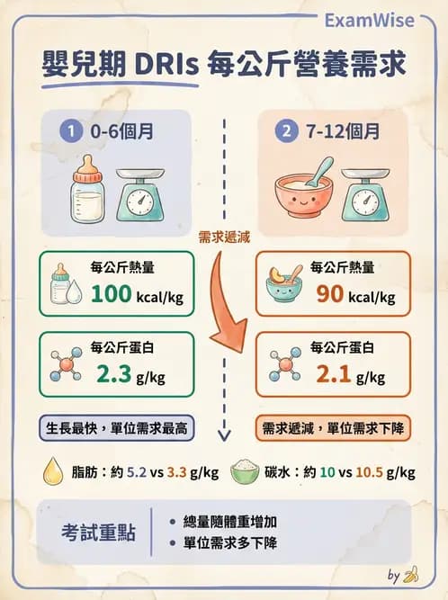 營養 - DRIs與飲食指南 - AI 圖文解析預覽