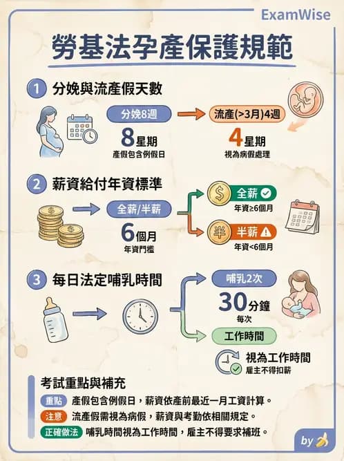 營養 - 母嬰與兒童營養政策 - AI 圖文解析預覽