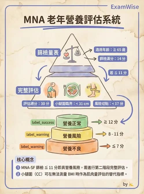 營養 - 營養篩檢與評估量表 - AI 圖文解析預覽