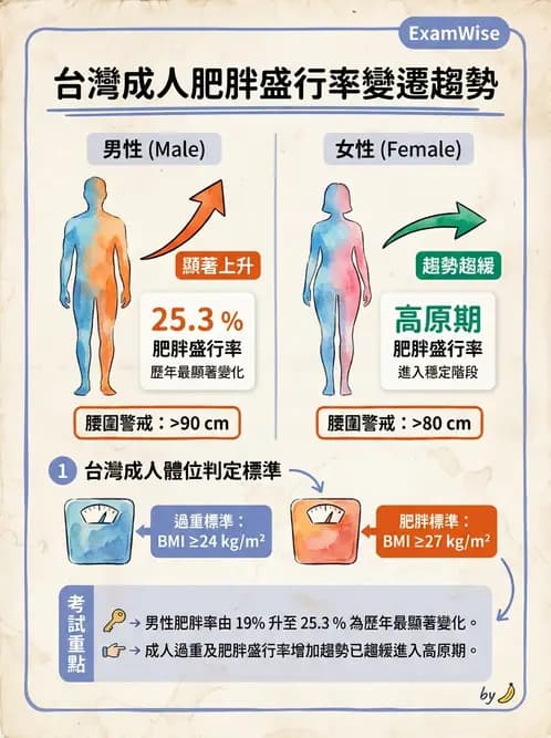 營養 - 國民營養現況與慢性病趨勢 - AI 圖文解析預覽