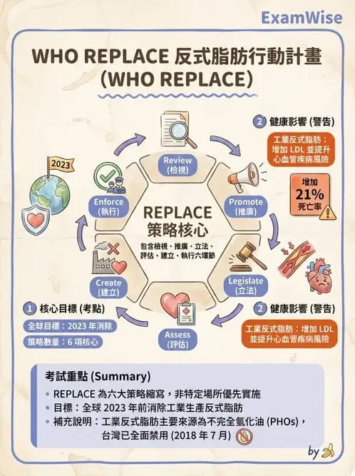 營養 - 國際營養議題與糧食安全 - AI 圖文解析預覽