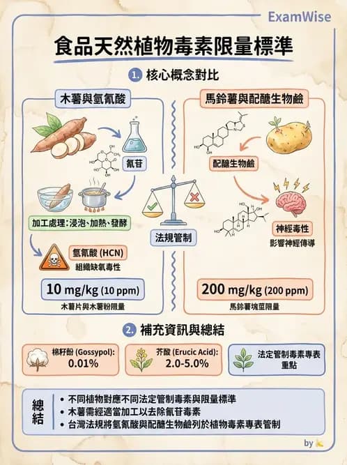 營養 - HACCP系統與食安法規 - AI 圖文解析預覽