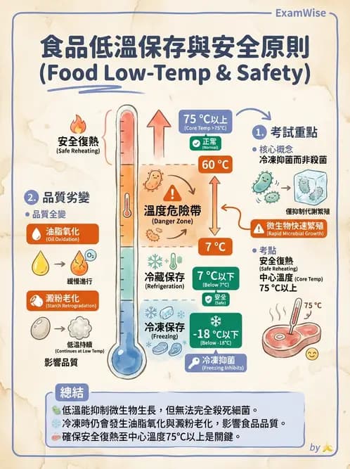 營養 - 食品腐敗微生物學 - AI 圖文解析預覽