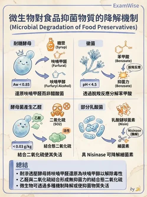 營養 - 食品腐敗微生物學 - AI 圖文解析預覽