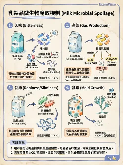 營養 - 食品腐敗微生物學 - AI 圖文解析預覽