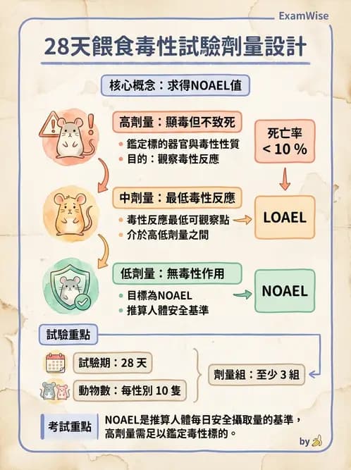 營養 - 食品安全性評估 - AI 圖文解析預覽