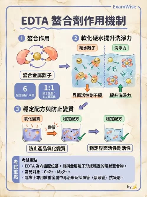 營養 - 食品用洗潔劑與殺菌消毒 - AI 圖文解析預覽